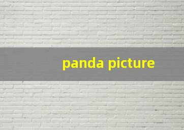 panda picture